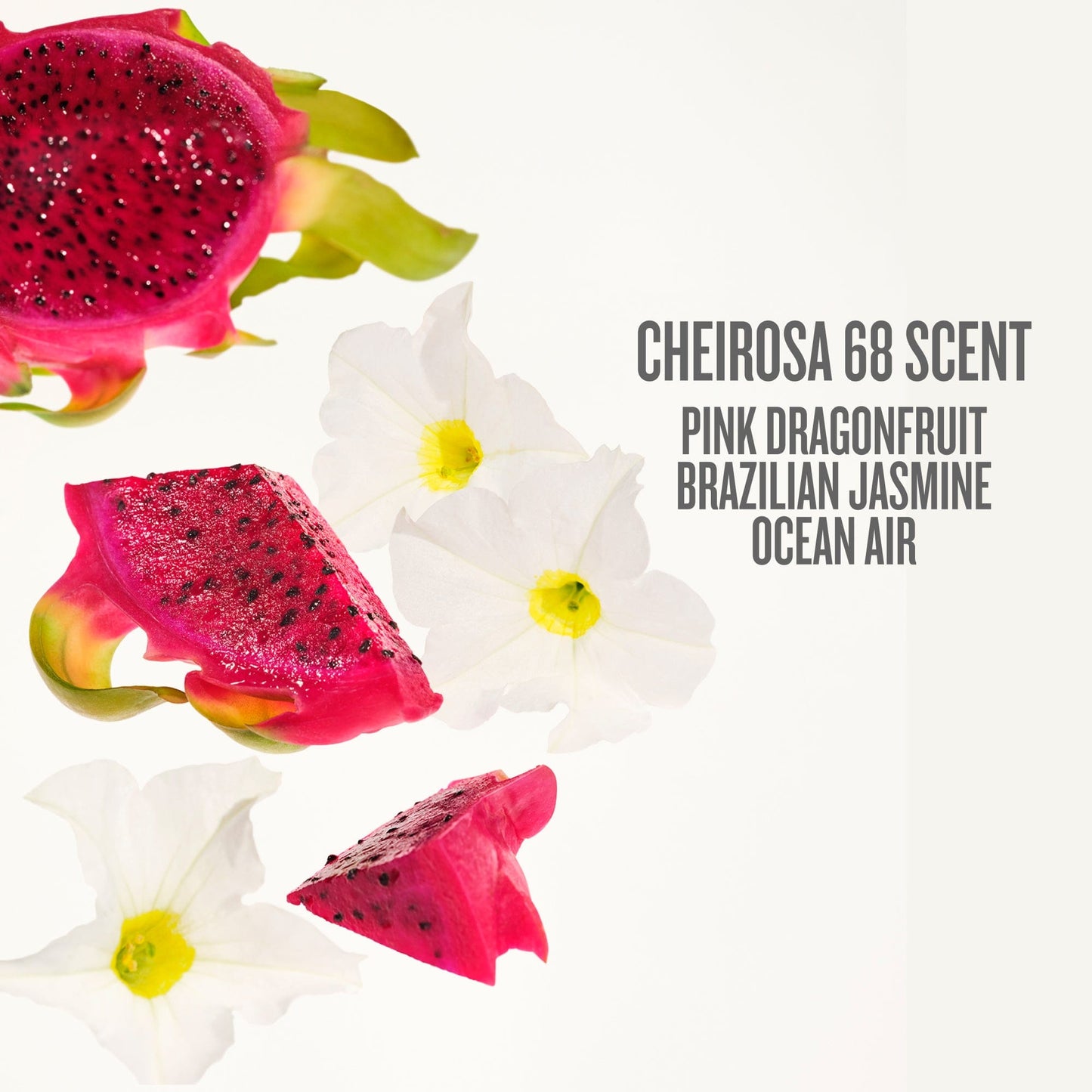 Beija Flor™ Elasti-Cream